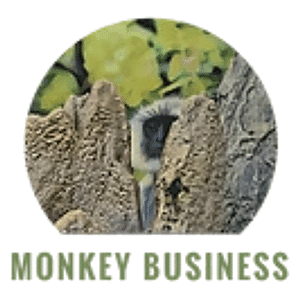 A Little Monkey Business