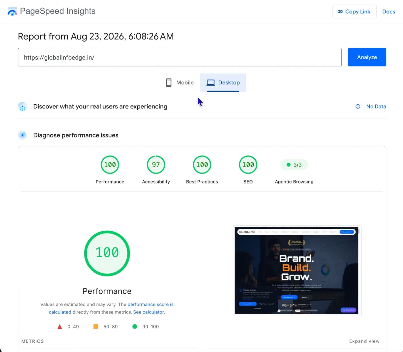 Google PageSpeed Insights showing a 100 Performance score for globalinfoedge.in on desktop