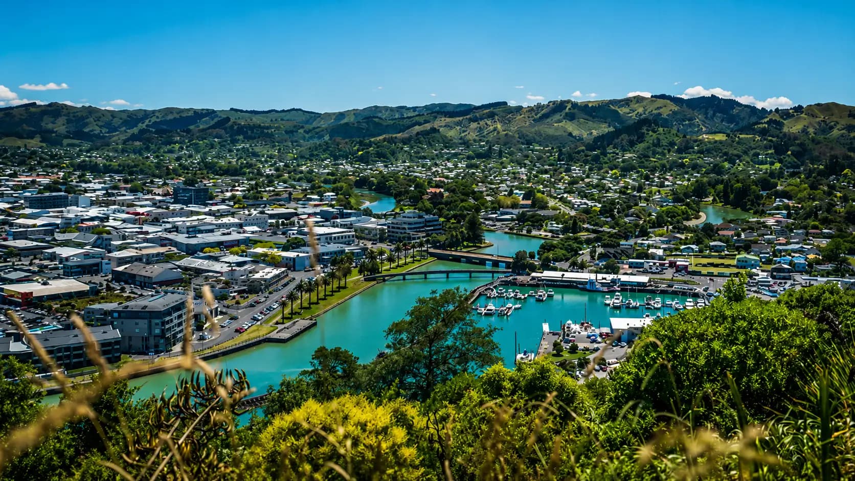 case study flow joinery gisborne — Global Info Edge